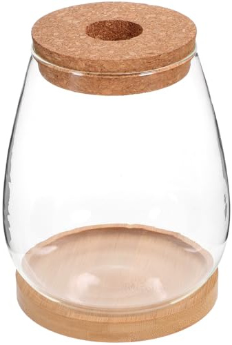 Happyyami Vaso Idroponico Trasparente Per Piante Grasse Con Piattino Vaso Da Interno Ed Esterno Per Decorazione Casa Ufficio E Giardino Design Moderno Dimensioni 6.10X5.12X5.12In