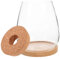 Happyyami 1set Vasi Trasparente Per Piante Grasse Con Base Bamboo Vaso Per Idrocoltura Decorazione Per Interni Ed Esterni Design Moderno e Facile Da Pulire