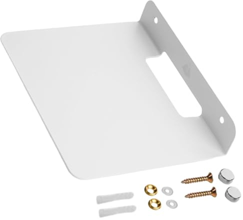 OSOLADY Support Mural pour Enceinte sans Fil en Métal Épais et Solide Rangement Intégré, pour Organiser et Fixer en Chambre ou Salle de Bain