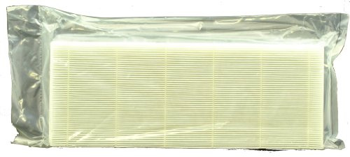Heat Surge Allergenfilter für Heizung