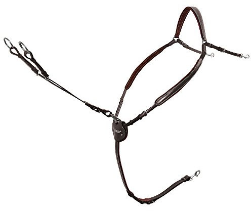 Passier Marcus Ehning Vorderzeug Pferd Havanna mit Edelstahlbeschlägen