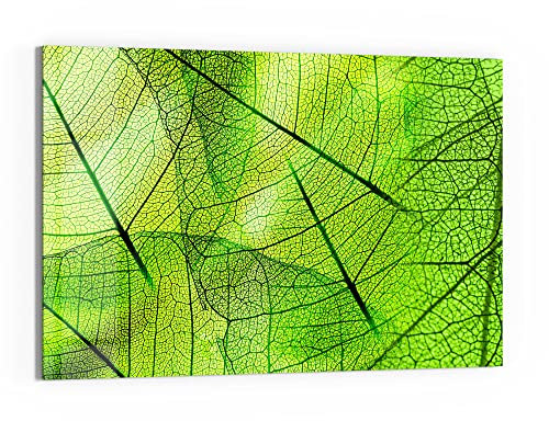 DEQORI Glas-Magnettafel | 60x40 cm groß | Motiv Transparente Laubblätter | Memo-Board aus Glas | Magnetboard inkl. Magnete, Stift & Tuch für Küche & Büro | Tafel magnetisch & beschreibbar