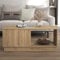 Galano Ryuki Coffee Table - Modern Distressed Oak Finish - Storage Cabinet for Entryway - Foyer - Living Room - Space Saving (Riviera Eichi)