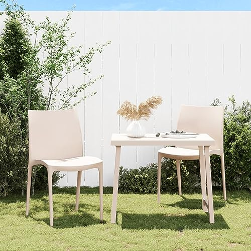 Frdhee Lot de 2 chaises de jardin - En polypropylène - Crème - 50 x 46 x 80 cm - Pour piscine, jardin, arrière-cour, pelouse