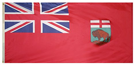 Annin Flagmakers 220135 Amerikanische Flagge, 91 x 183 cm, nicht anwendbar
