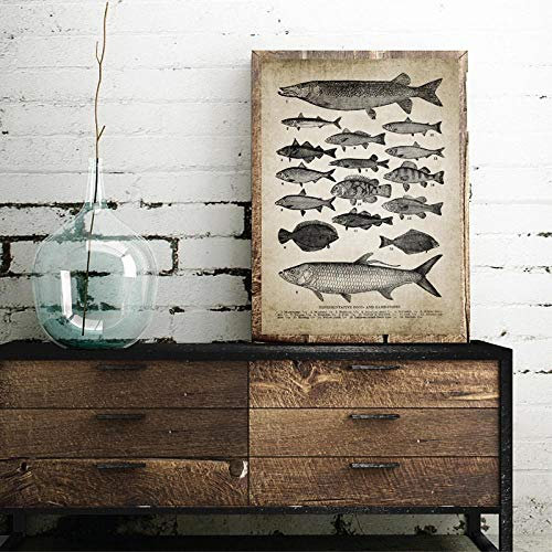 ZMFBHFBH Leinwand Malerei Dekor Kunst Vintage Rassen von Fisch Druck Angeln Angeln Süßwasser Fisch Poster Retro Wandkunst Bild 50x70cm ungerahmt