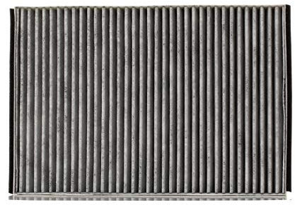 STARK SKIF-0170053 Filter, Innenraumluft Staubfilter, Pollenfilter, Mikrofilter