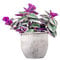 Tradescantia Nanouk Altezza 30 cm, Pianta Vera, Pianta da Interno, Vaso Artigianale in Cemento
