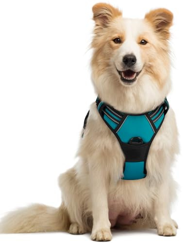 rabbitgoo Dog Harness Medium, No Pull Vest with Front Clip & Handle | No Choke, Adjustable, Breathable Padded, 2 Lead Rings, Reflective, Easy Control for Walking Training, M, Teal