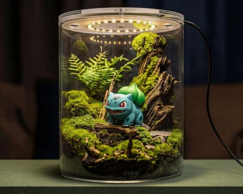 NatureHolic Flaschengarten Glas mit LED Bottle Garden Set Wabi Kusa Terrarium dimmbar, Größe M