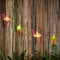 Lights4fun Flamingo & Palm Tree 10 LED Battery Operated String Fairy Lights with Timer 1.35m