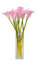cn-Knight 12pcs Künstliche Calla Lilien,50cm Langer Stiel Arum Lilie,für Heimdekoration,Tafelaufsätze Blume,Hochzeit,Braut DIY Blumenstrauß,Einweihungsfeier,Hellviolett