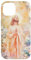 iPhone 14 Christian Heavenly Garden Jesus Case