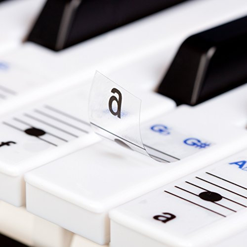 New and Improved! - Keysies Transparent Plastic Removable Piano and Keyboard Note Stickers - Plus Handy Placement Guide.
