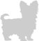 Samunshi® Yorkshire Terrier Hunde Aufkleber Autoaufkleber Sticker in 6 Größen und 25 Farben (9,2x10cm Silber)