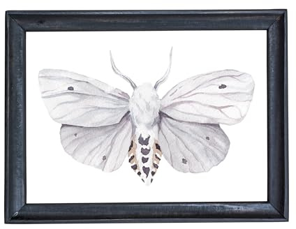 Din A4 Kunstdruck ungerahmt - Motte Schmetterling Butterfly Falter Aquarell weiß Deko, Geschenk Druck Poster Bild