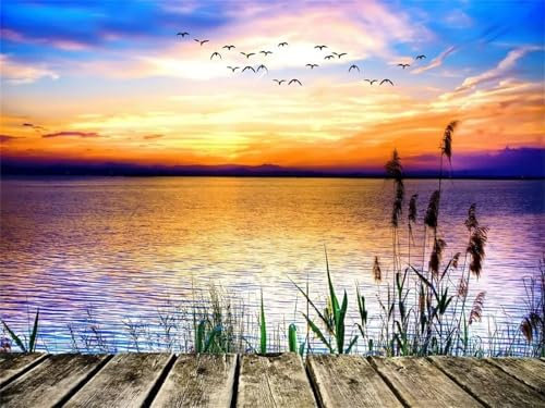 Paint by Numbers Kits for Adults,Sky Bird Scenery painting by number kits On Canvas for Beginners,Without Frame DIY Oil Painting Digital Acrylic Painting Arts Crafts Home Wall Decor 16x20 inch