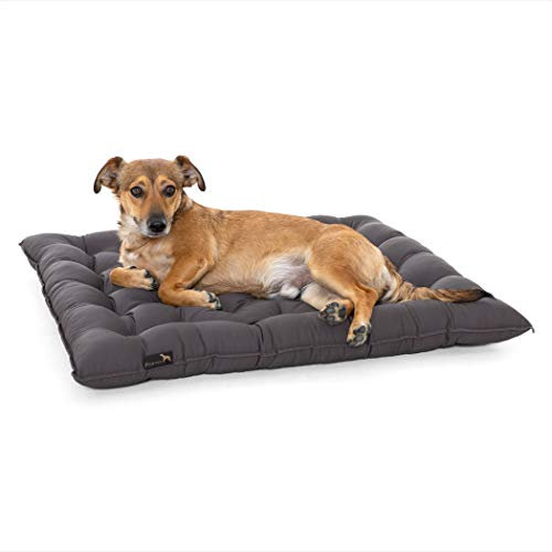 Pointer | Urban Hundekissen Grosse Hunde, 80x70 cm - Orthopädisches Hundebett Waschbar bis 95°C, Geruchsfrei, Robust, Indoor & Outdoor, Made in Germany (XXL - 80x70 cm, Anthrazit)