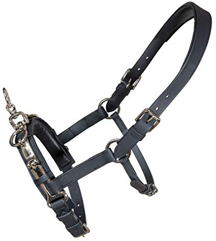 Karlslund Fengur Kappzaum für Islandpferde