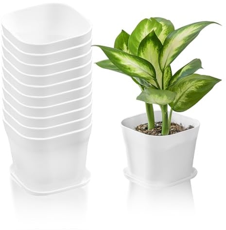 HEKOBAG 10 Macetas Blancas Cuadradas Pequeñas con Platillos, Macetero Cuadrado Pequeño de Plástico, Maceta de Vivero de Plántulas con Platillos, Modernas Macetas de Plástico Decorativas para Plantas