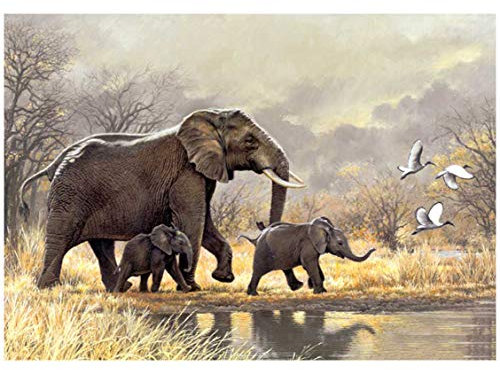Better Selection Wildlife Elefant Diamant Malerset für Erwachsene, 5D Full Drill DIY Kunst & Handwerk Bling Kunst Dekoration Geschenkset mit Kristall-Strasssteinen 30x40 cm