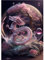 MOGTAA 5D Dragon Peinture Diamant Adulte, DIY Diamond Painting Complet Diamant Kit Enfants, Bricolage Animaux Diamant Painting Strass Point de Croix Cristal pour Murale Décor 30x40cm