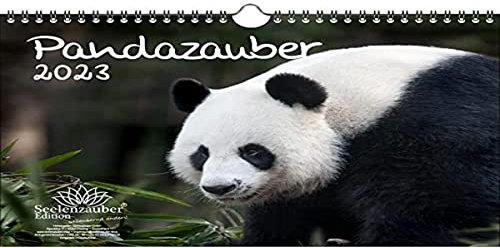 Pandazauber DIN A4 Kalender für 2023 Panda - Seelenzauber
