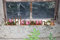 Rostikal Willkommen Schild 77 x 13 cm Rost Deko Schriftzug Gartendeko Vintage Deko Türdeko