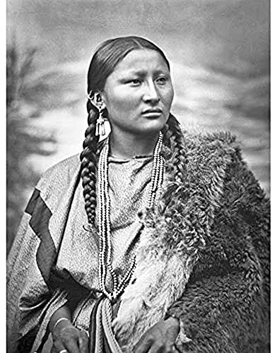 Ureinwohner Amerikaner Arapaho Pretty Nose 1879 Foto, ungerahmt, Wandkunstdruck, Poster, Heimdekoration, Premium