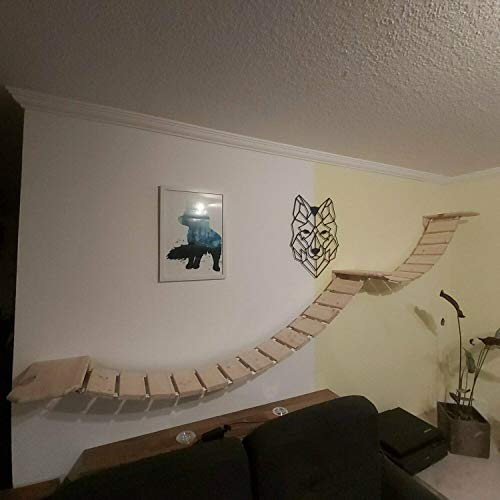 Medikratz Komplett-Set Katzen Hängebrücke; Große Katzen Kletterwand mit Wandpodesten auch für große Katzen geeignet (100cm + 100cm, Natur)