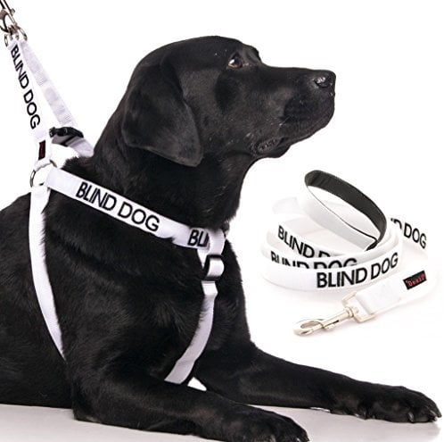 BLIND DOG (Dog Has Limited/No Sight) White Colour Coded Dog Harness and Padded Lead (Harness & 1.2m)
