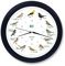 KOOKOO Singvögel Schwarz-Blau, Die Singende Vogeluhr, mit 12 heimischen Singvögeln und echten, natürlichen Vogelstimmen, mit RC Funkquarzwerk