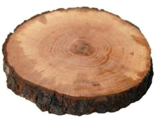 Bonussi Tagliere Rotondo in Legno Corteccia Diametro 25-28 Tronco Vassoio Centrotavola