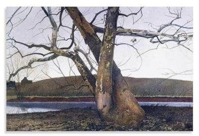 Dil Huey Farm Andrew-Wyeth Poster, Heimdekoration, Poster, Wandkunst, zum Aufhängen, Bilddruck, dekorative Malerei, Poster, 50 x 75 cm