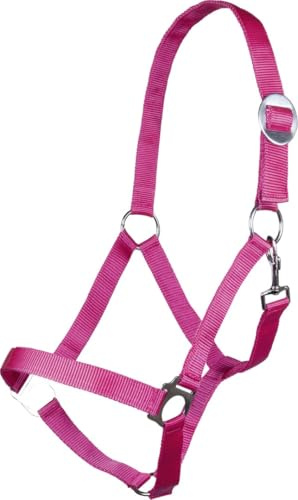 HKM Sports Equipment GmbH Holster – Stars Economy Softice -