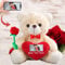 Personalised Teddy Bear with Photo and Custom Text on Heart, Stuffed Animals Valentine Teddy Bear with Rose & Bow as Im sorry gifts for Her/ Him on Valentine/ Anniversary/ Birthday (8-IN--Red Heart)