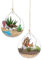 Planteur en verre suspendu, Terrarium Globes en verre 2pcs 3,93 pouces transparente ronde rond suspendue en verre de terrarium en verre suspendu avec les supports de prunelle avec longe pour le maria