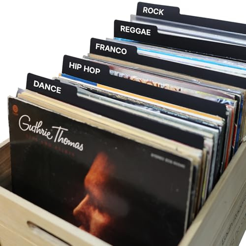 Vinyl-Schallplatten-Trennblätter, 30,5 cm, schwarz, wiederverwendbar, doppelseitig, Kunststoff, Kategorie-Taber, DIY, Vinyl, LP, Alben, Trennwände für Albumkiste und