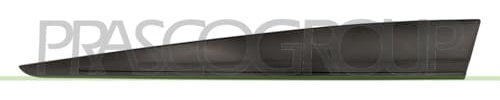 Prasco RN3291406 Trim/Protective Strip Front Left Door
