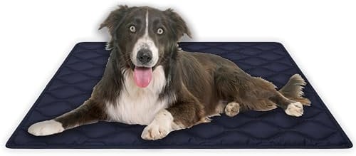 MyBestBuddy Hundematte Oxford wasserfest 120x80 cm XL, Outdoor, schmutzabweisend und 40°C waschbar - Hundebett für sehr große Hunde, 120 x 80 cm