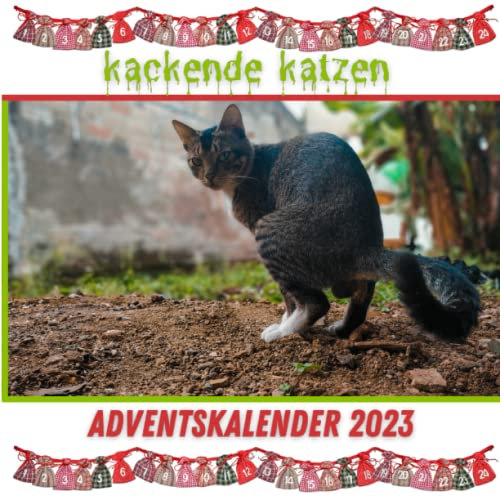 kackende katzen adventskalender 2023