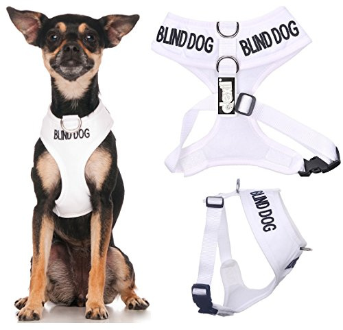 Dexil BLIND DOG (Dog Has Limited/No Sight) White Colour Coded Non-Pull Front and Back D Ring Padded and Waterproof Vest Dog Harness PREVENTS Accidents By Warning Others Of Your Dog In Advance (XS)