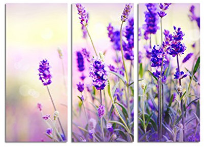Paul Sinus Art 130x90cm – Keilrahmenbild Lavendel blau-lila Farbfilter 3teiliges Wandbild auf Leinwand und Keilrahmen - Fotobild Kunstdruck Artprint