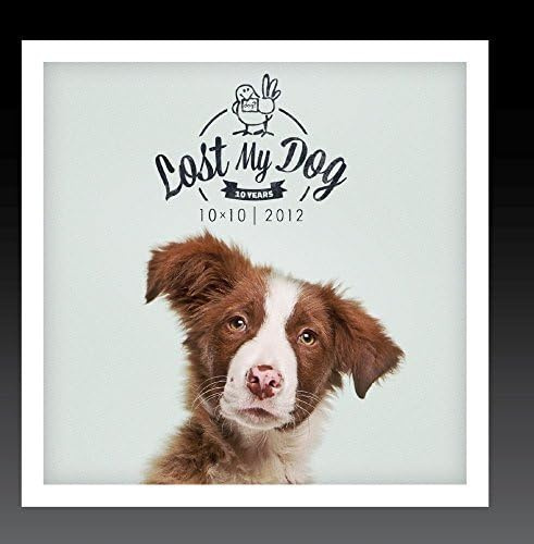Lost My Dog 10x10 - 2012