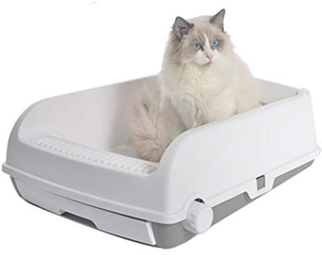 QIAOH Bandeja Arena Gatos, Arenero Gatos Grande con Filtro Filtro de Rejilla, Material Ecológico Caja de Arena para Gatos Grande