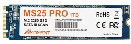 MMOMENT MS25 Pro 1TB M.2 SATA III SSD 2280 6Gb/s (Read up to 540MB/s)