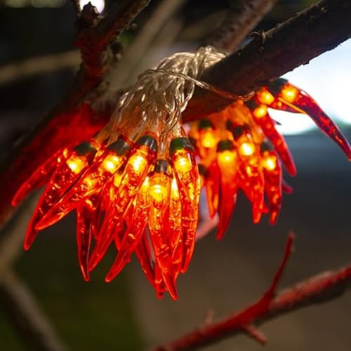 Fespcj Chili geformte LED Lichterkette 300cm Garten Dekoration, 3.AA batteriebetriebene Restaurant festliche Dekoration, geben Kinder Geschenke und Spielzeug (20/Rot)