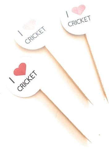 I Love Sport cake toppers, sporty food pick decorations, 12 food flags picks - Badminton, Table Tennis, Swimming, Fencing (Badminton)