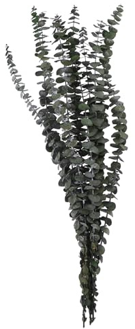 VOSTEEN 1x Eukalyptuszweige 70cm grün - Tischdeko Konfirmation eleganter Look & konserviert - Osterstrauch Zweige Trockenstrauß