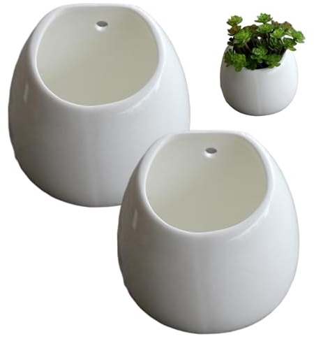 DAGLLGEW Lot de 2 Pots de Fleurs muraux en céramique avec Trou Suspension, Pot Fleurs Moderne à Suspendre pour Plantes Grasses et Petites Plantes, décoration d'intérieur, Support Mural Blanc pour l